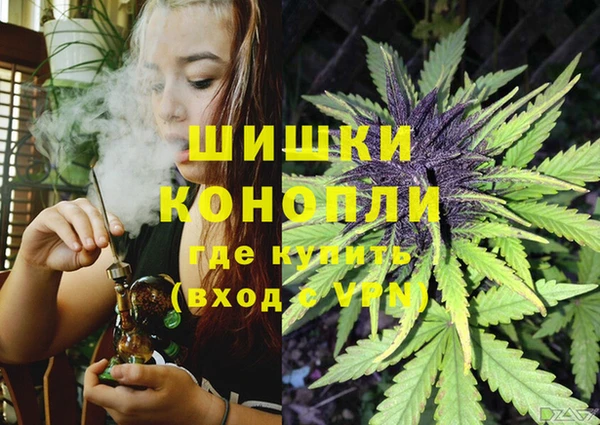 ПСИЛОЦИБИНОВЫЕ ГРИБЫ Алзамай