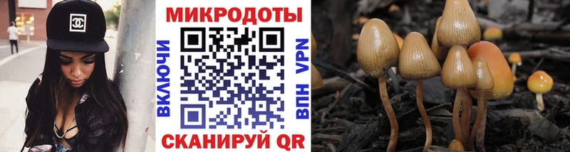 Псилоцибиновые грибы Magic Shrooms  купить наркотик  Слюдянка 